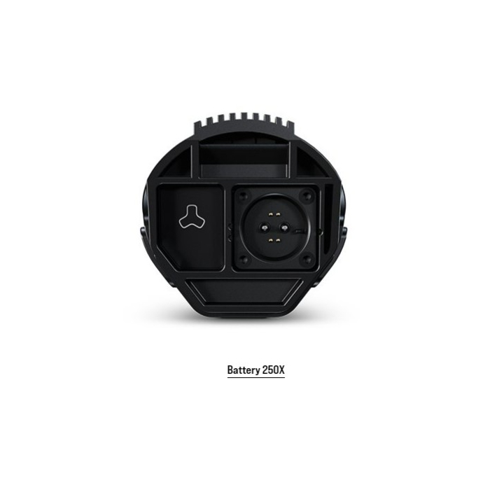 Fazua 250X accu